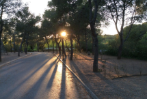 Parcelas camping Emplacement Standard